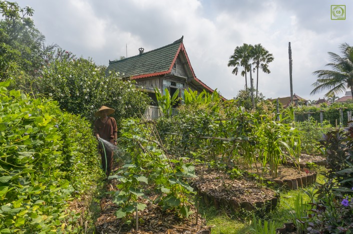 Bali