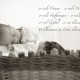 babyfotografie