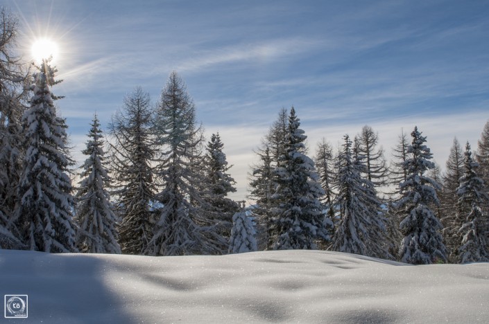 dezember-0141