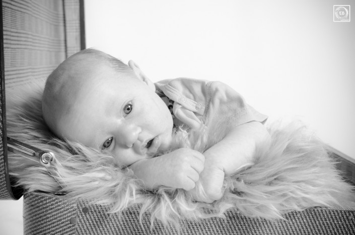 jonas babyfotografie