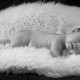 babyfotografie